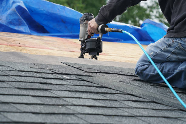 Best Gutter Installation and Roofing  in Evart, MI