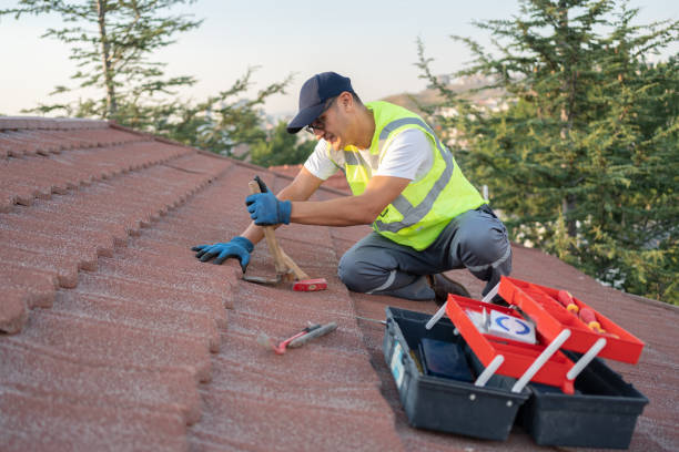 Professional Roofing Contractor in Evart, MI