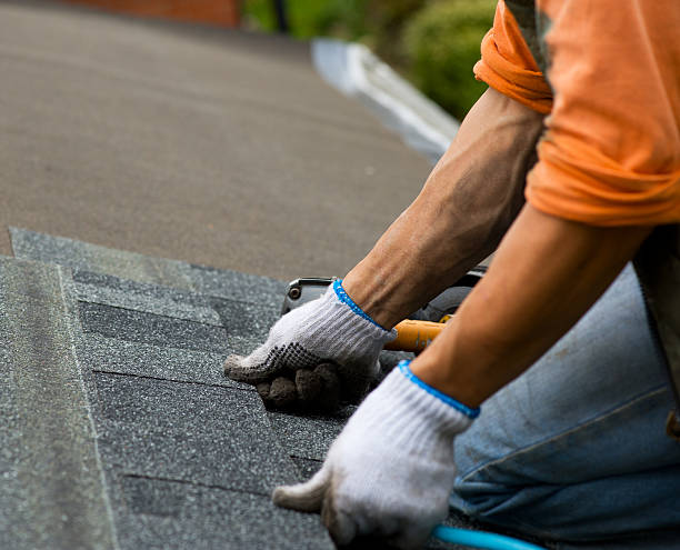 Best Roof Leak Repair  in Evart, MI
