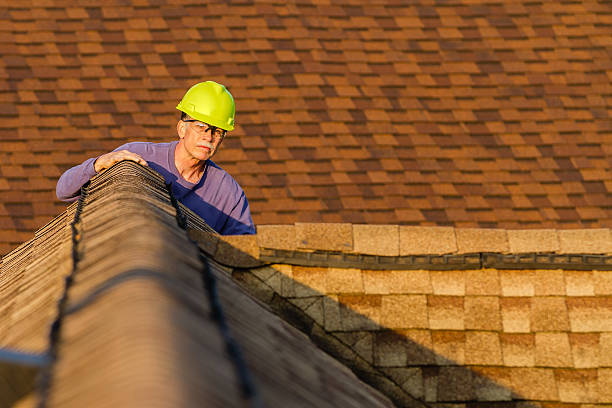 Best Sealant for Roof  in Evart, MI