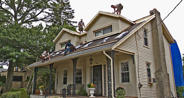 Best Storm Damage Roof Repair  in Evart, MI