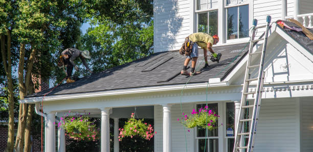 Best Roof Gutter Cleaning  in Evart, MI